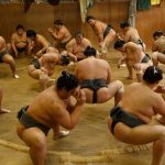 春場所　境川部屋